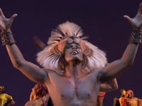 The Lion King Musical Comedy