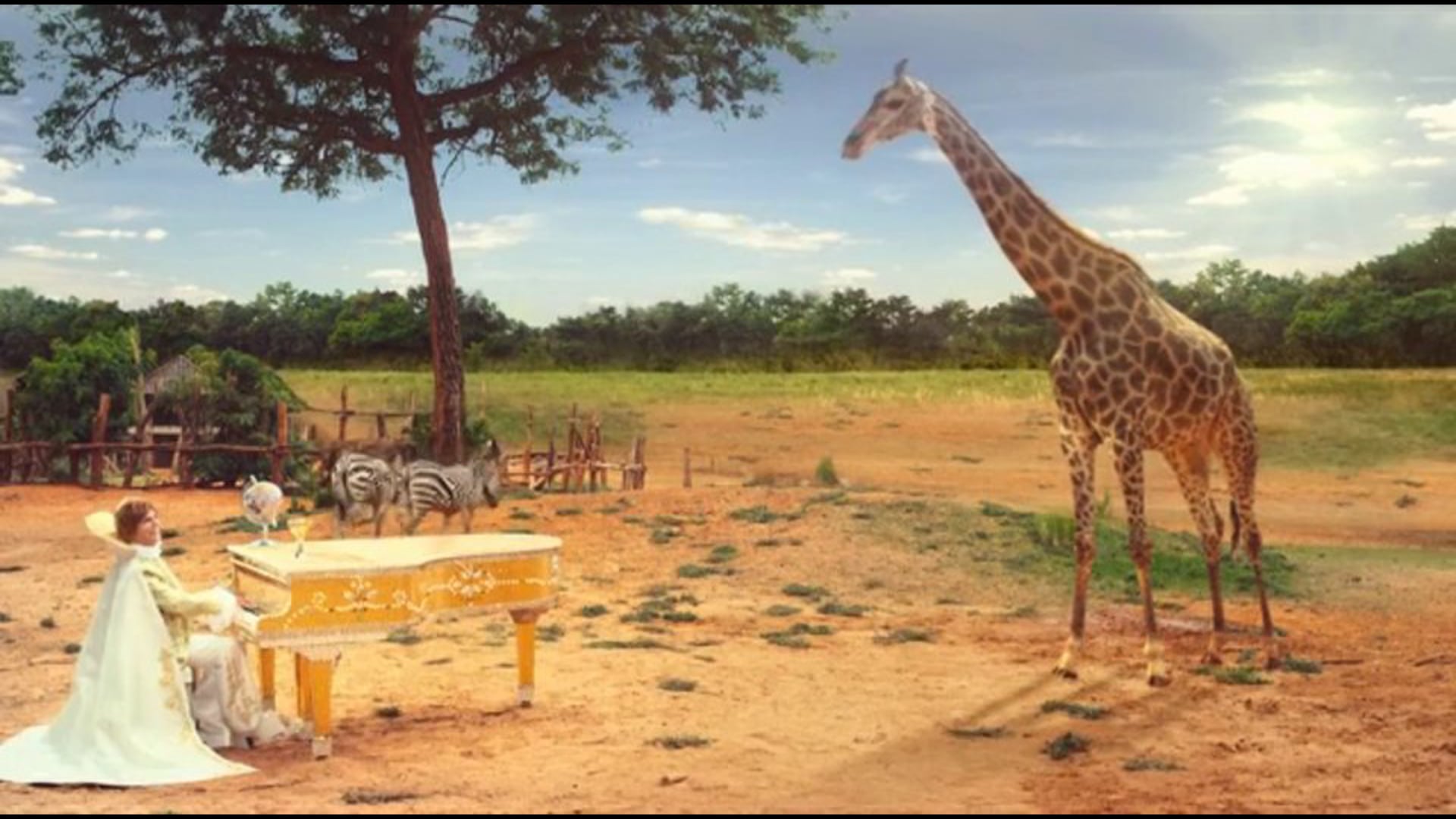 BIG COLA - Win a Giraffe 20"