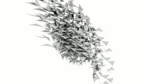 Generative Animations
