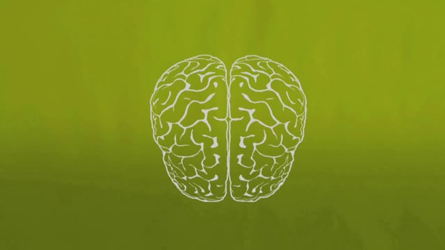 Hello Brain - What makes my brain work?