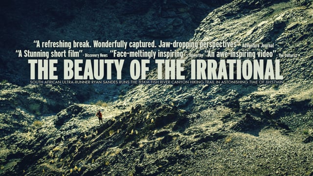 The Beauty of the Irrational