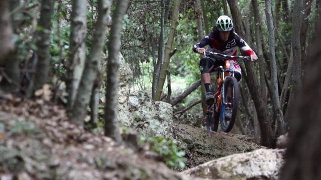 Syndicate Finale EWS