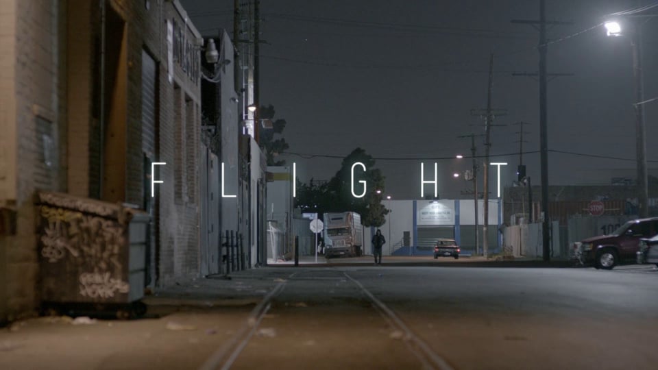 FLIGHT