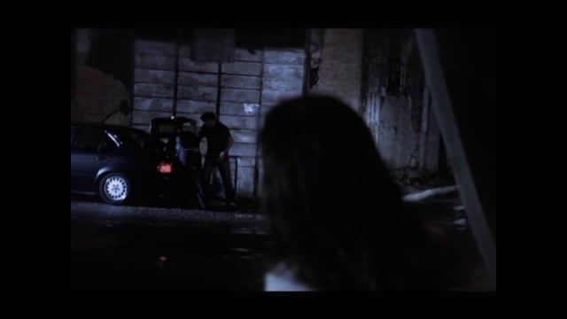 Capa do vídeo Piracema
