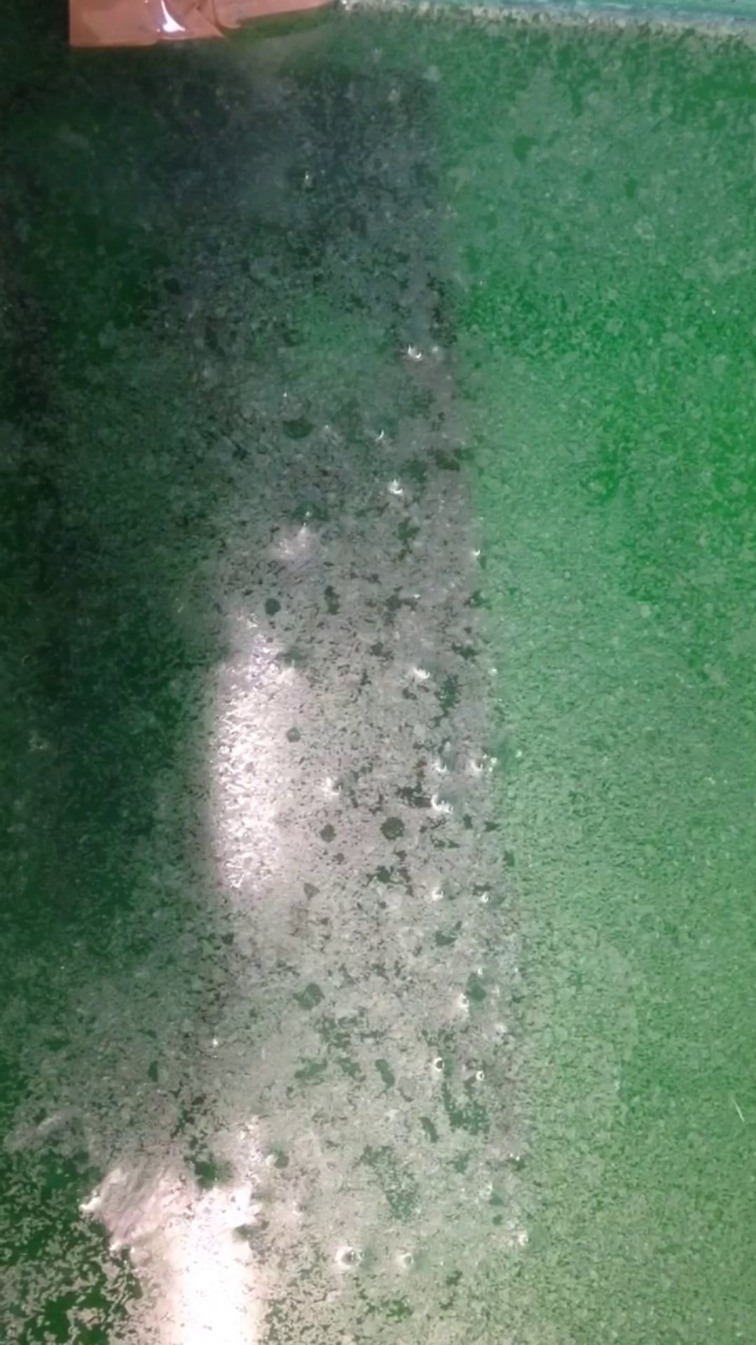 Copper sulphate etch at work on Vimeo