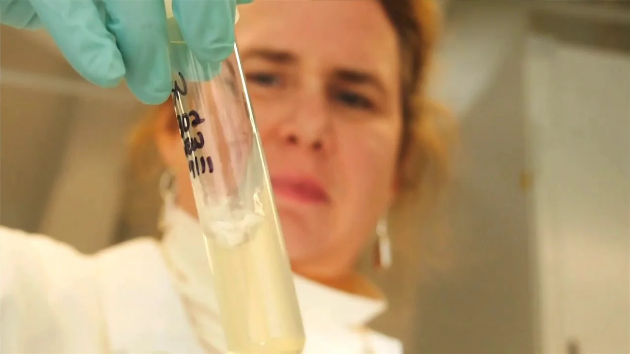 Lamont-Doherty Earth Observatory - Oceanographer Studies Clues to ...