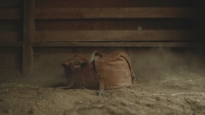 The Encounter Collection