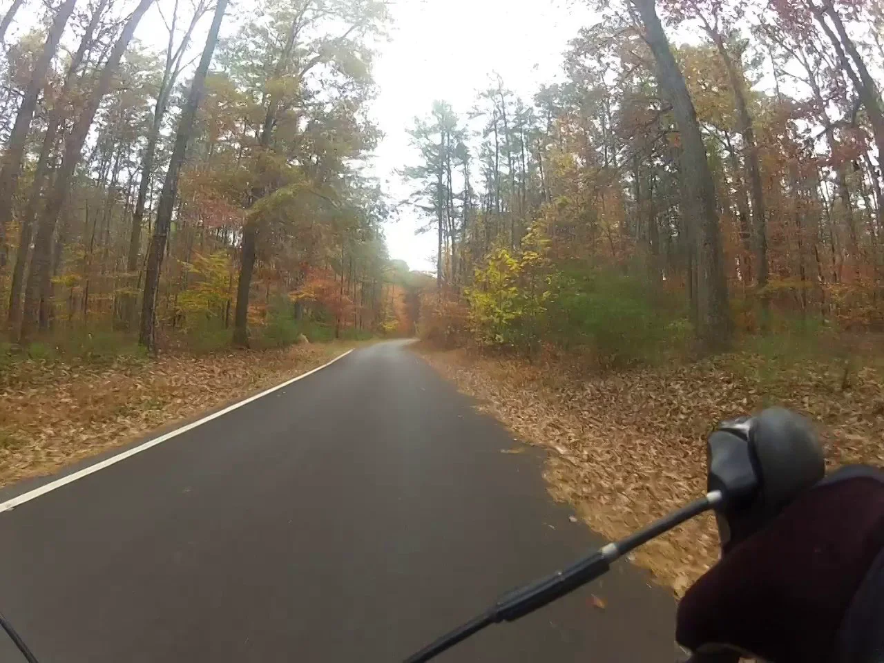 Fall Road Ride in the Beltsville Farms and Patuxent Wildlife Refuge on