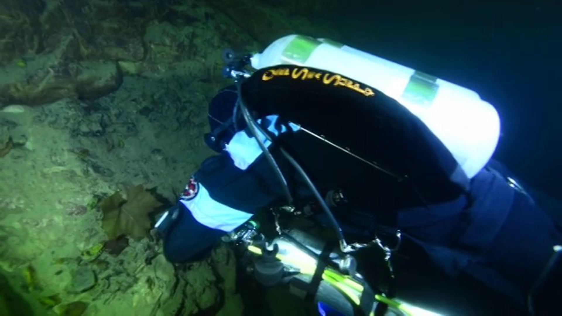 Diving at Mermet Springs