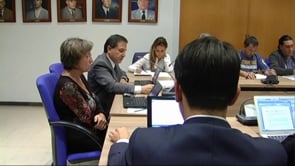 El ple aprova la contractació d'una nova directora per la Ballmanetes