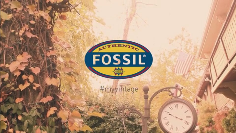 Corporate Campaign, Fossil