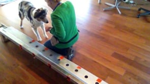Related Embedded Video Item Thumbnail