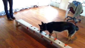 Related Embedded Video Item Thumbnail