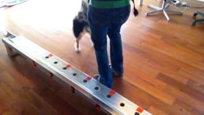 Related Embedded Video Item Thumbnail