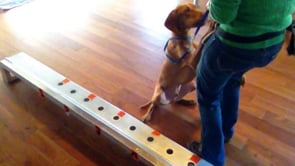 Related Embedded Video Item Thumbnail