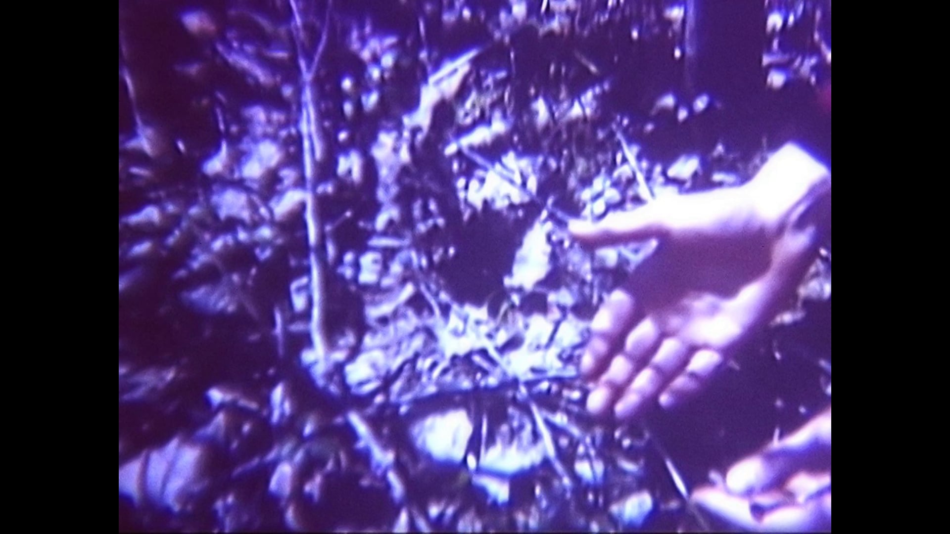 The present is an animal that lives in my stomach (Brazil / The Netherlands, 2013, 10’)