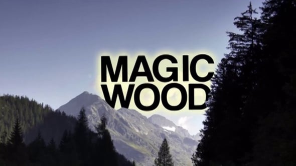 Мэджик вуд челябинск. Magic Wood. Magic Wood Bouldering. Pollina Magic Wood.