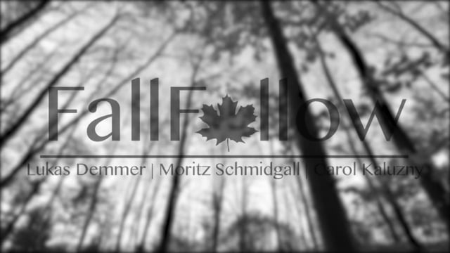 Fall Follow from Sebastian Sauer | SAUER Films