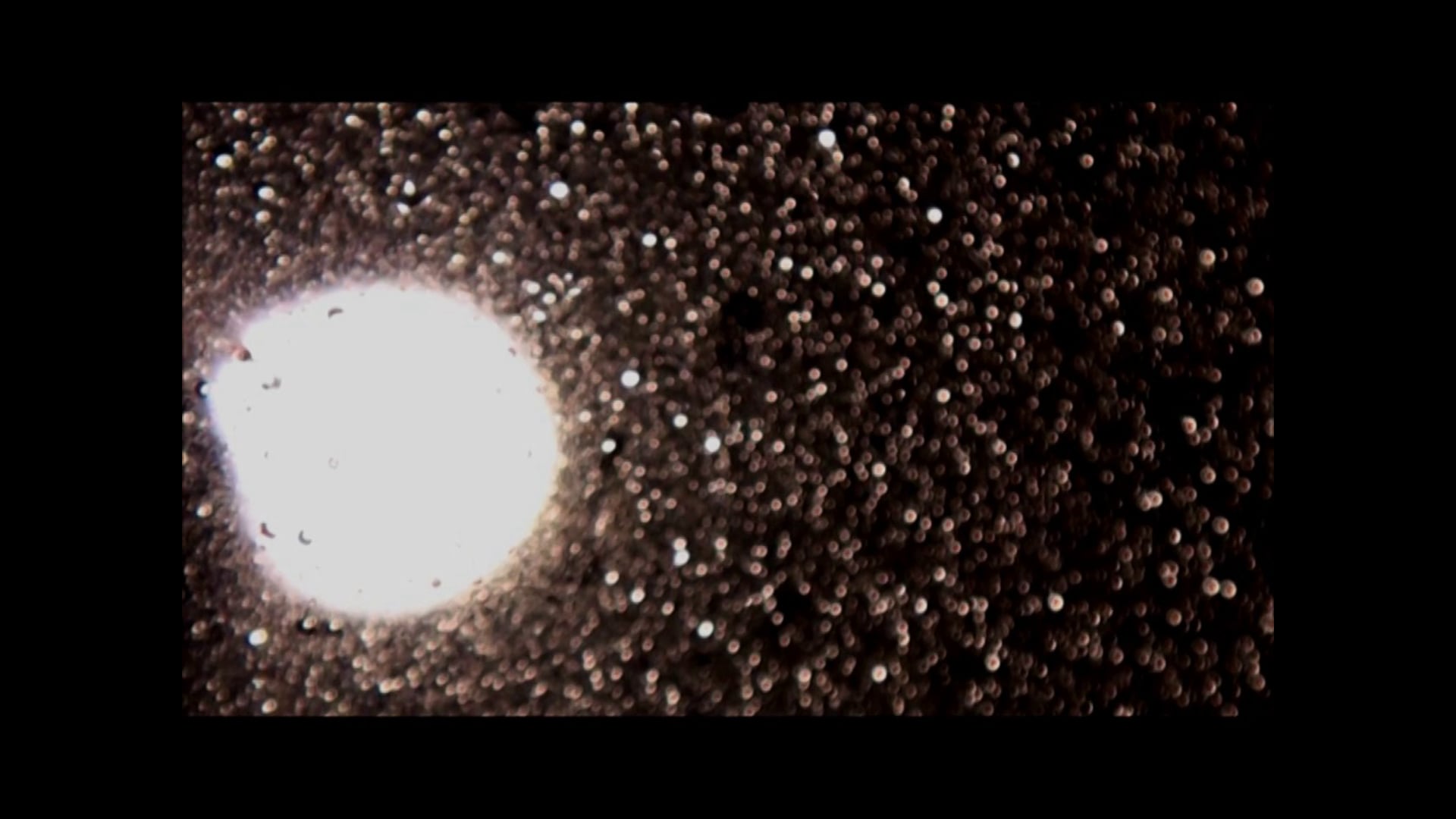 Etude sur les lois de l'attraction #2 - 2010 12 08