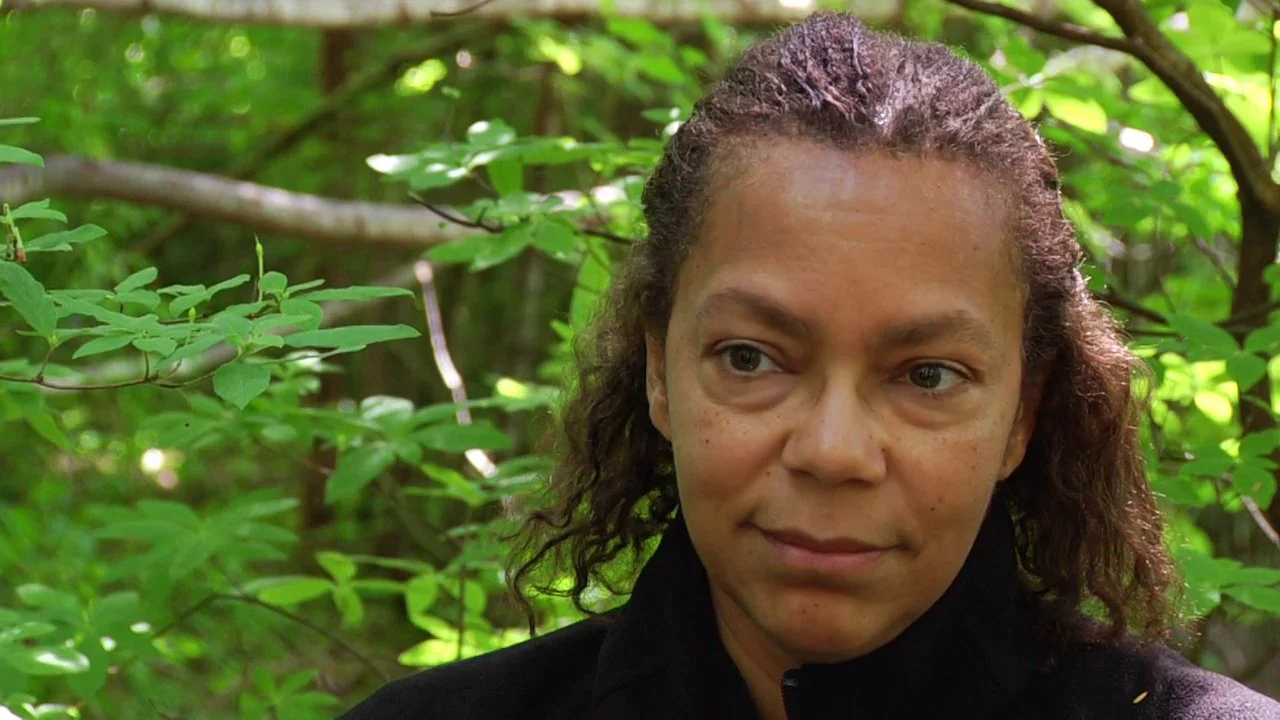 Lauret Savoy Resilience is no single thing on Vimeo