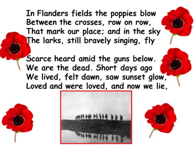 In Flanders Field” Poem with Poppy Photograph Printable - Printable Craft  Patterns