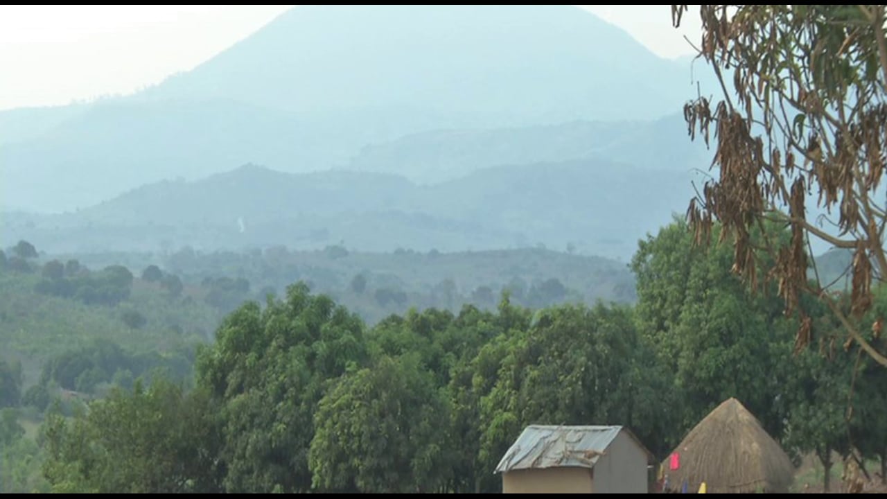 Mozambique Fighting: Where is Alfonso Dlakhama?