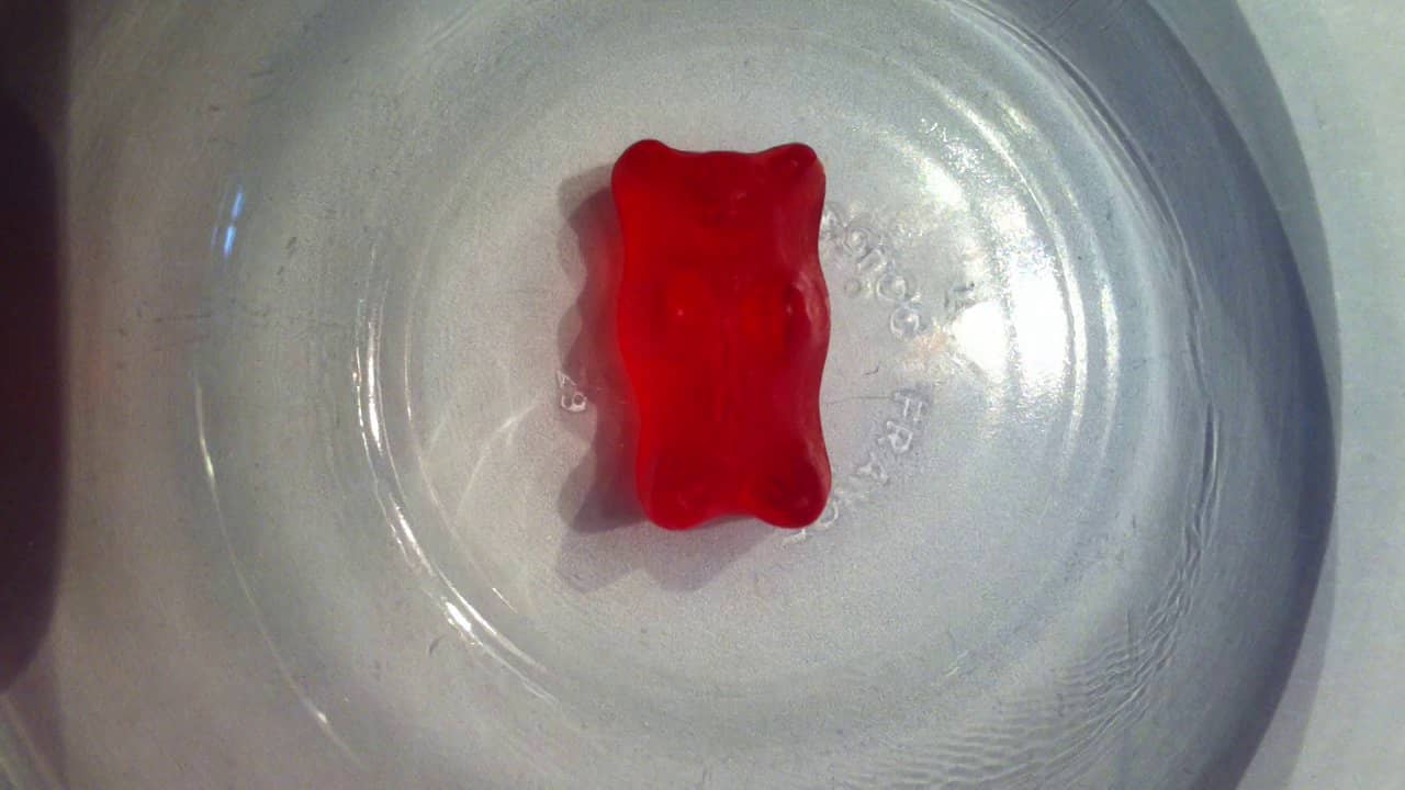 Gummy Bear v Bleach on Vimeo
