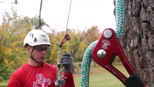 Kentucky Tree Climbing Championship - 2012