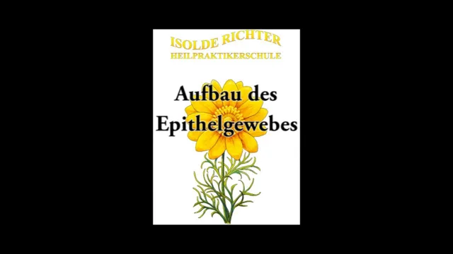 Epithelgewebe des Körpers