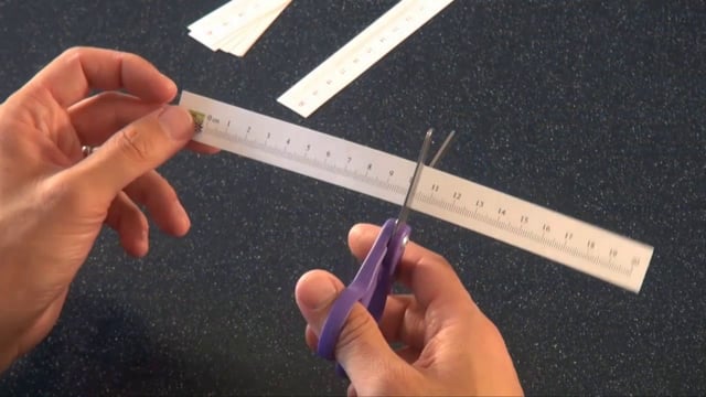 Exploring Size - Tiny Ruler