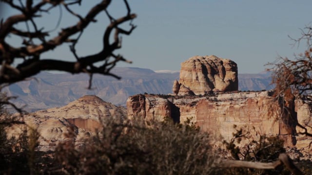 All is Well in the Swell