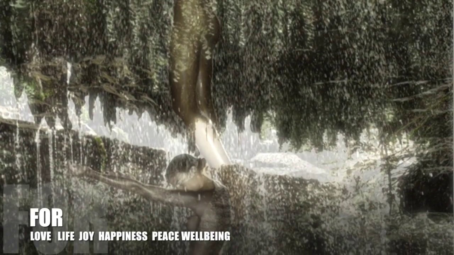 Spiritual Spa Life