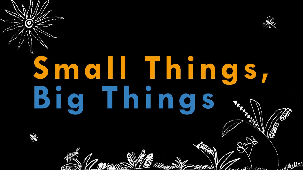 small things and big things