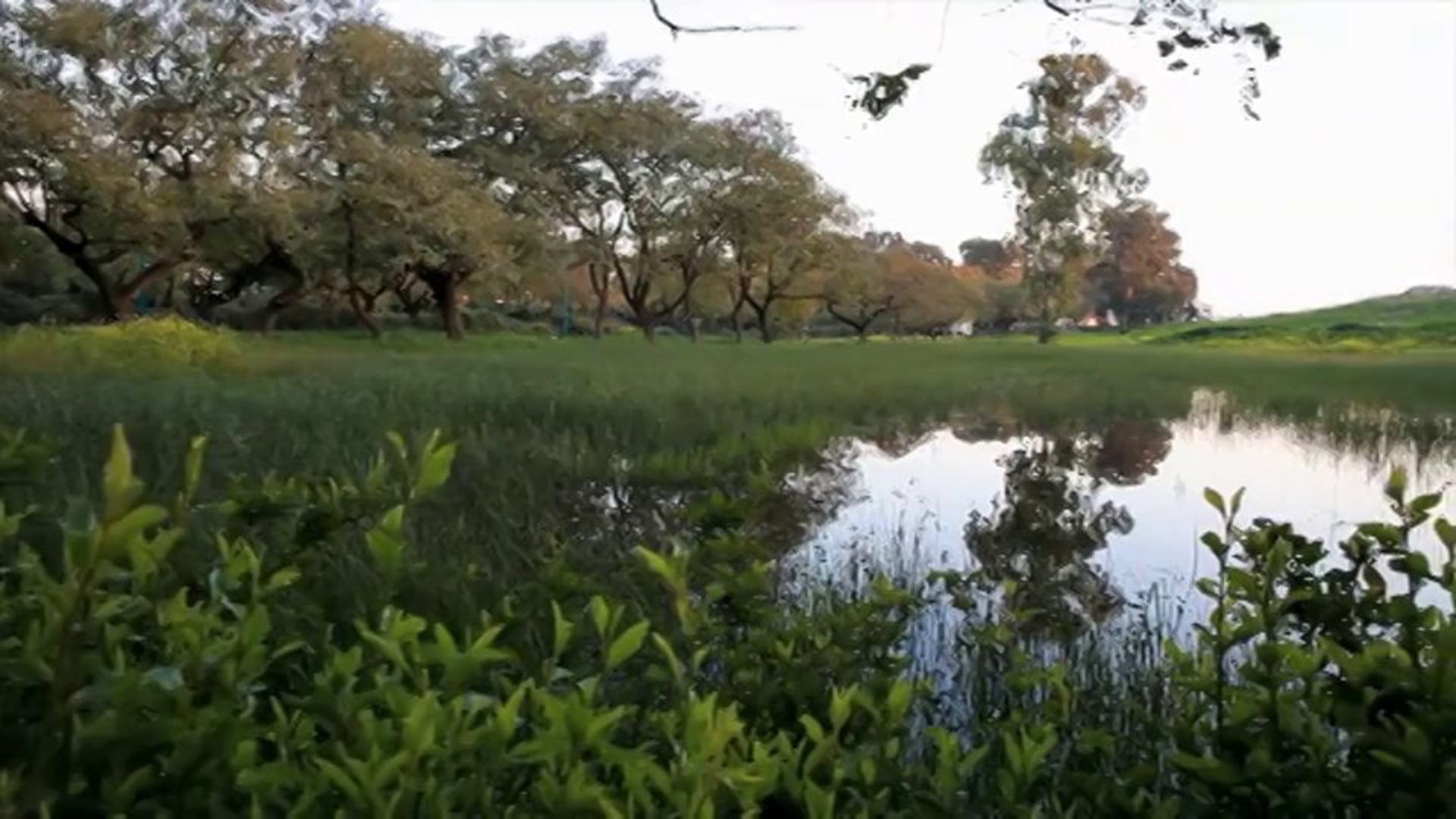 NPA - Winter Pools