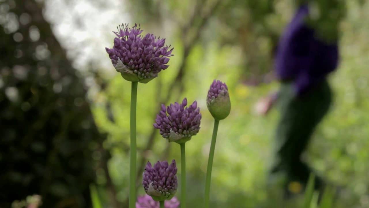 Brutal and Beautiful- Peter Aldington and Turn End on Vimeo