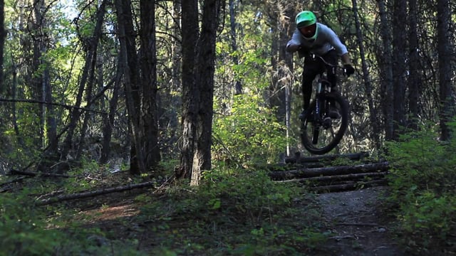 PROJEKT ROAM: Landscapes Vol. 3