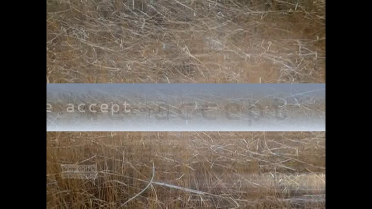 A106 - Wheat