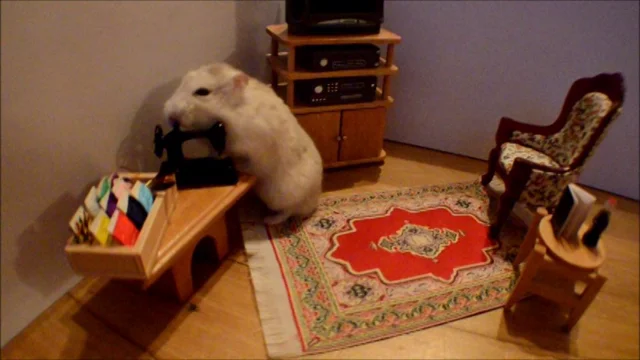 A Dollhouse Built Inside of an Acoustic Guitar