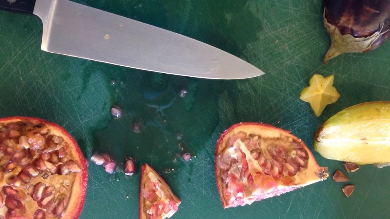 Fruit Dissection Class Demo 3GenBio on Vimeo