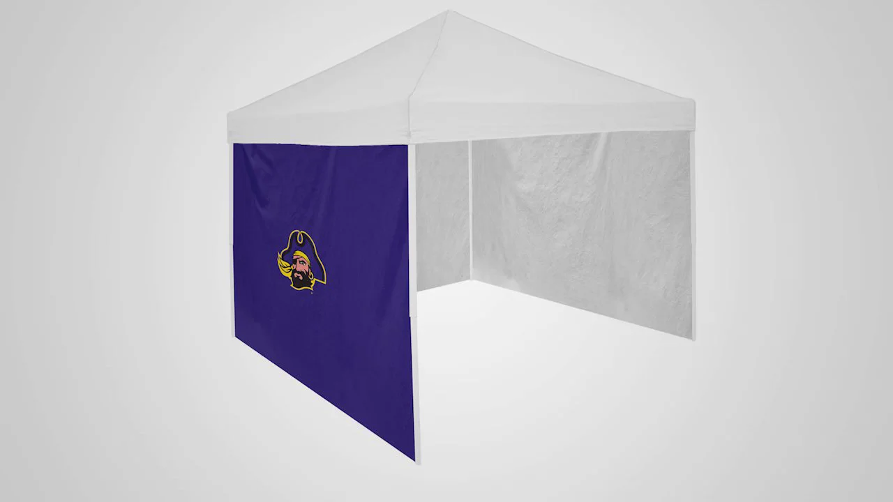 Detroit popular Lions 9x9 Canopy Tent NFL