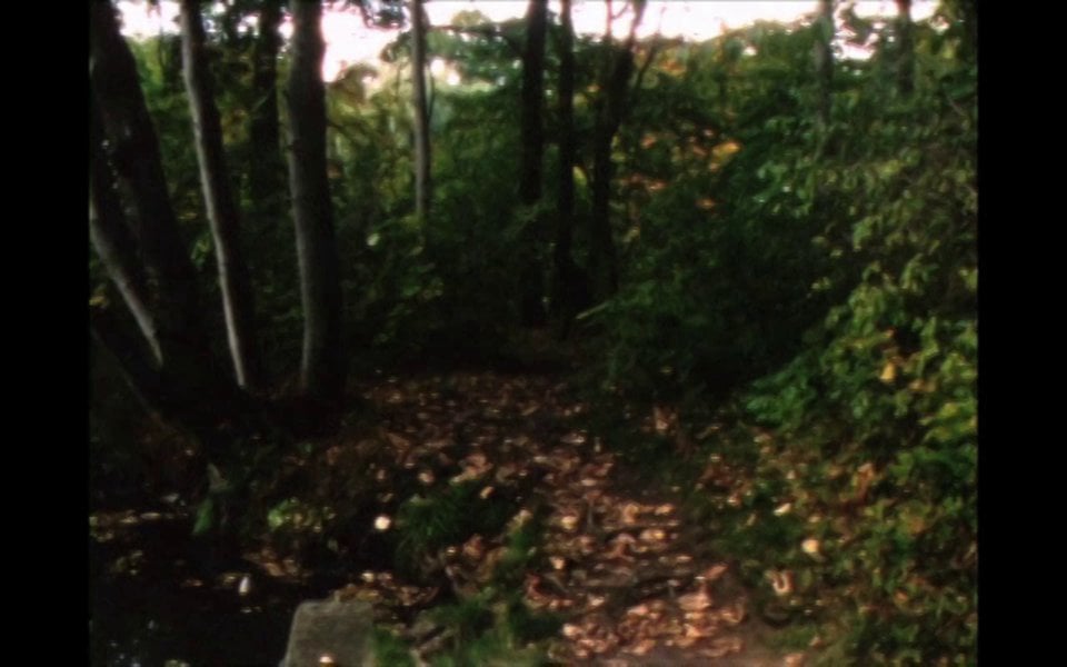 Fall on Vimeo