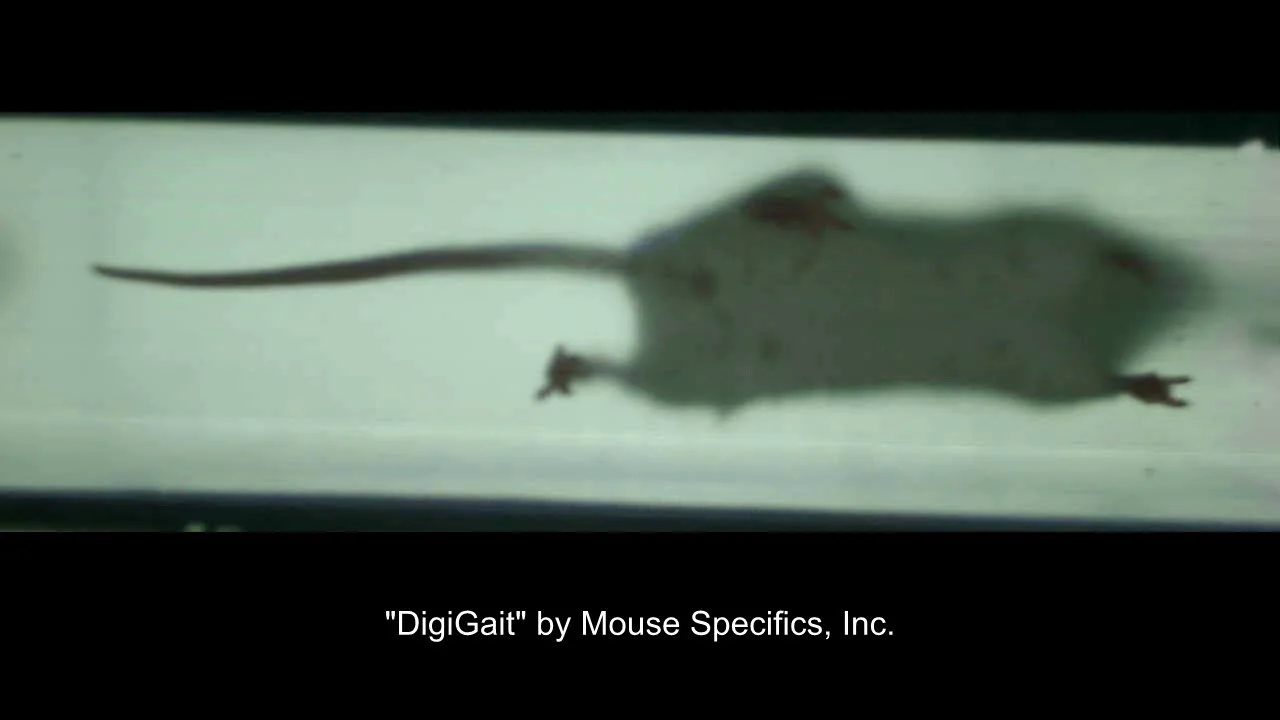 DigiGait 40cms on Vimeo