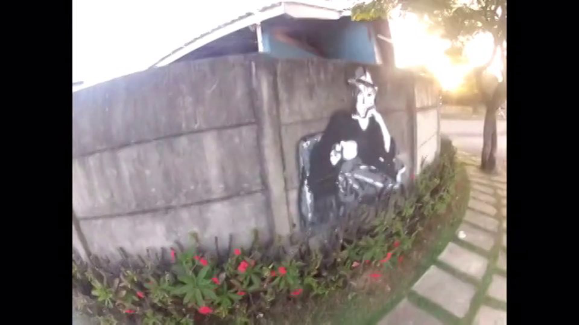 Meu Sábado Cai No Domingo