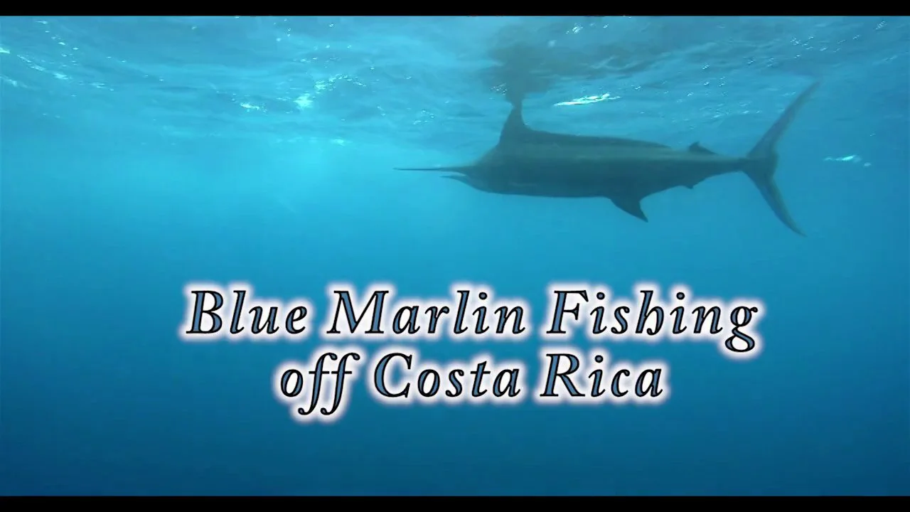 EPIC Blue Marlin Fishing in Costa Rica 