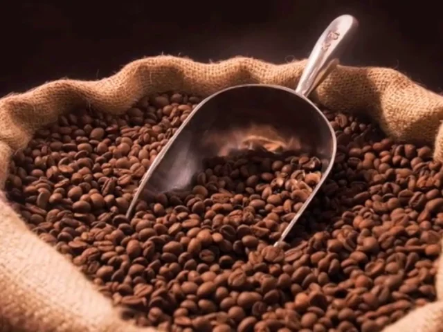 Technivorm Moccamaster — Brioni's Ultra Premium Coffee