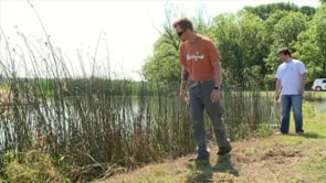 Walk in the Wetlands - Snake Tagging