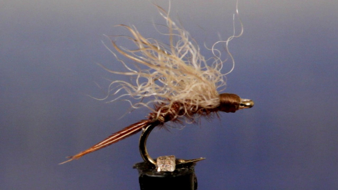 Simple Snowshoe Emerger - Image source: Tightline Productions