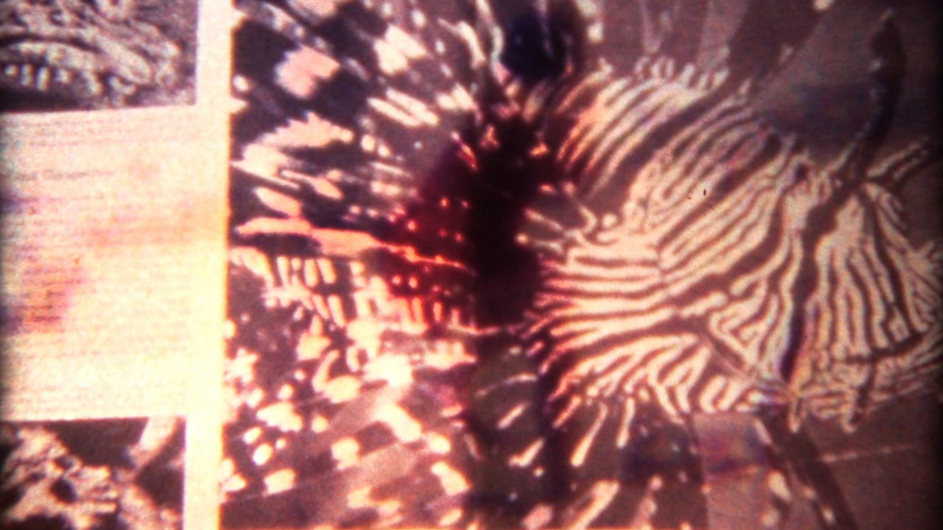 I Like the Way You Move