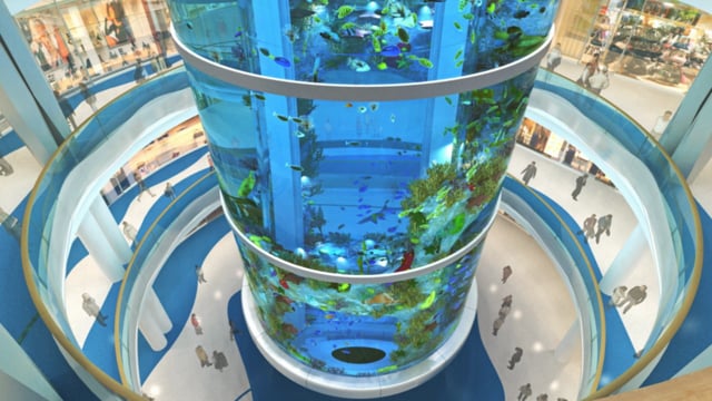 Moscow Aquarium Animation