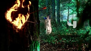 Fairy Bumpers II: Burning Heart